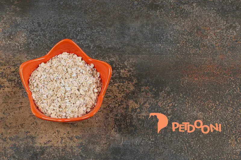 چگونه با بوگیر خاک گربه یا خشبوکننده خاک گربه مناسب فضای خانه را همیشه مطبوع نگه داریم | ترفند ساده و طبیعی در پت شاپ آنلاین پت دونی 1404